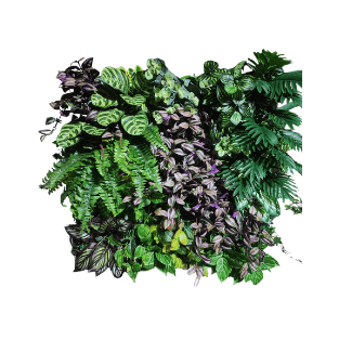 Wall Green - WG24