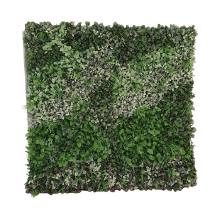 Wall Green - WG3