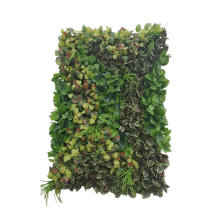 Wall Green - WG5