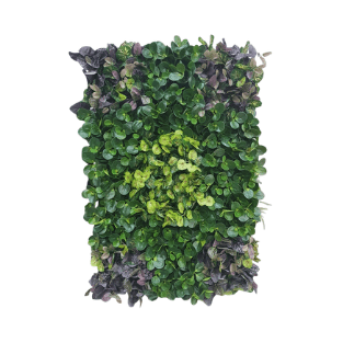 Wall Green - WG6